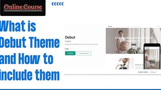 What is Debut Theme ? How to include?