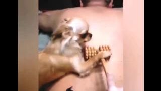 Massage for two