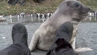 Знакомство