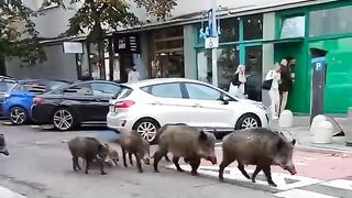 На экскурсии