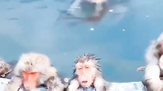 Солнечные и водные ванны