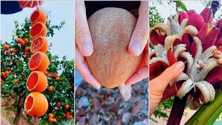 Fruits for life | Satisfying videos