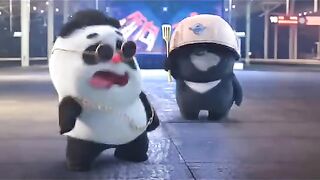 funny video with panda party happy birthday