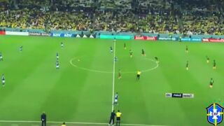 Summary of Brazil and Cameroon