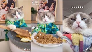 The Little Puff - The Little Puff 1