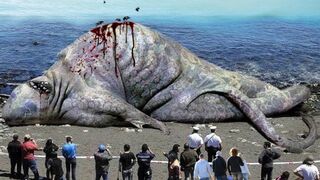 19 ANIMALED MÀS GRANDES y más PELIGROSOD DEL MUNDO