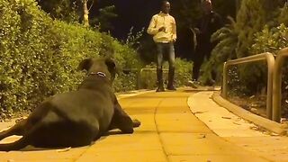 Akimalada