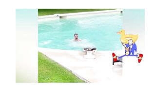 funny videos