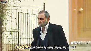 أحكام ميماتي من واذي الذئاب