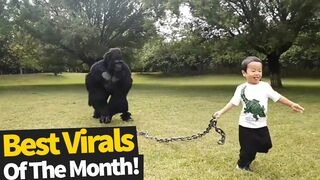 Top 60 Viral Videos OF the Month