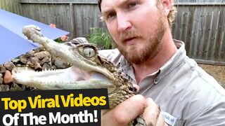 Top 50 Viral Video!
