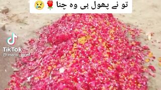 WhatsApp status