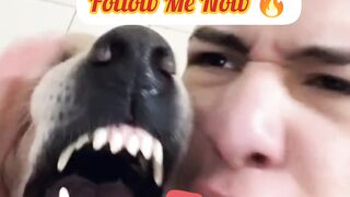 Best Dog 2022 Videos | Best Dog 2022