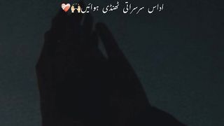 Sardi k pehali barraish