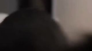 Enforcement | Paw Enforcement: Furry Crime Fighters | PawsAndOrder | FunFM