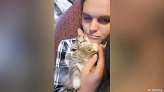 Only Cat Owners Would Understand” Cat and