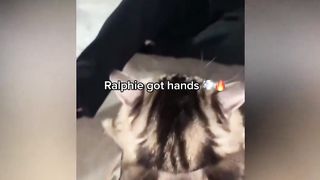 Funny tiktoks !