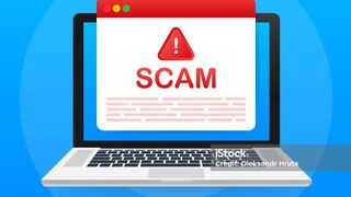 Web scam pembohong