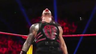 WWE реслинг 325