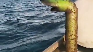 fishermen's life