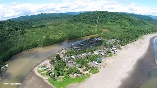 Gastronomia colombiana