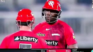 BBL highlight B heat vs Rengeeds t20 match