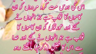 Surah Nisa | Quran Quotes | Quran Translation