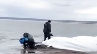 Temukan ikan² paling langka di dunia