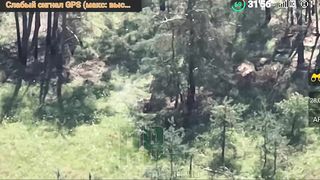 Ukraine Russia War | RU POV: Russian Artillery Targeting Ukrainian Mortar | RCF