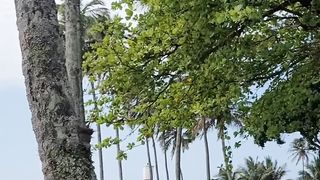 Farol Ponta das Canas