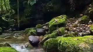Natural video 69