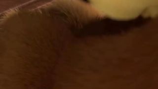 Masha And The Bear 2