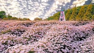Beautiful view 73