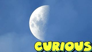 WHAT WOULD HAPPEN IF THE MOON DIDN'T EXIST!