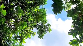 Nature 138