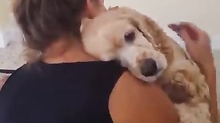 New Funny video 2023 4