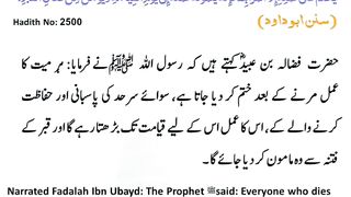 اسلامی معلومات 403