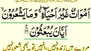 اسلامی معلومات 404
