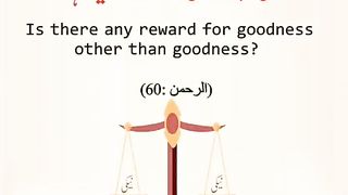 اسلامی معلومات 405