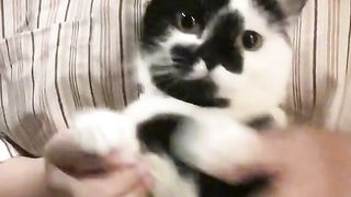Funny fun 10