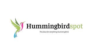 This Hummingbird is a Rockstar_ Rufous-crested Coquette 4k.