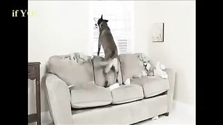 fffffa