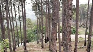 Fire watch tower Iryari Murree/Tourism devlopment Murree/Panjab/jab chali dandi hawa/SohailT22vlog