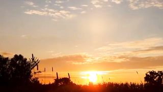 Natural View | Calming | Relaxation | Peaceful Environment | #nature #viral