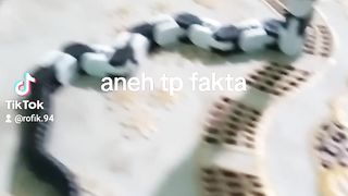 Ular aneh