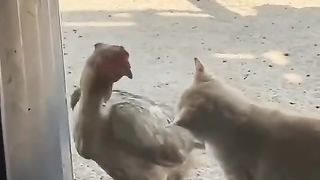 Friendship...https://besargaji.com/3ukcH