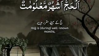 Al Quran 101