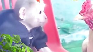 Funny Monkey Viral Video 55