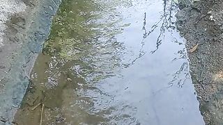 The canal that brings water to the field