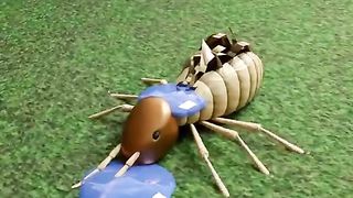 Termites and Ants Army